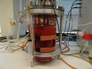 Mimicking Marine Conditions to Improve Prodigiosin Yields in Bioreactor