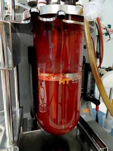 IBB-2BRG_CC-Fermentador-Infors