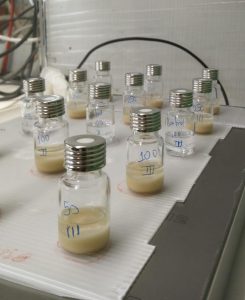 IBB-2BRG_CC-small reactors