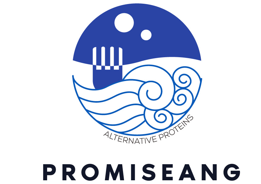 Promiseang-logo+claim