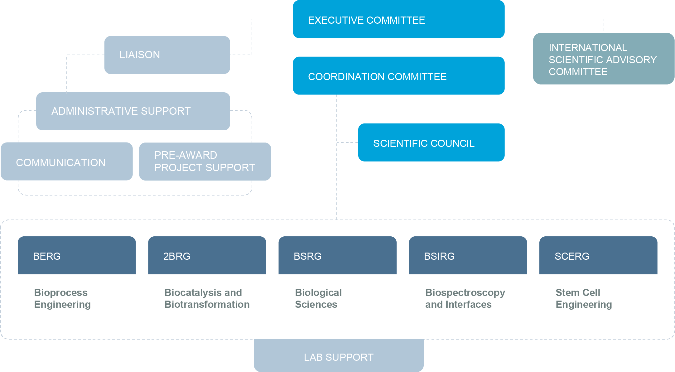 iBB – Governance