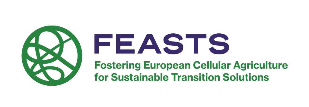 logo-FEASTS_color_horizontal
