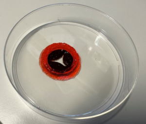 Design of magnetic kappa-carrageenan-collagen bioinks for 3D bioprinting