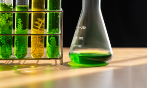 Oxyfluorfen: a novel metabolic inhibitor to select microalgal chlorophyll-deficient mutant strains for nutritional applications