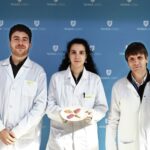 iBB’s Research Makes Headlines in Journal Sol