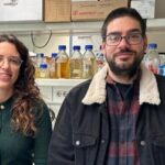 Genome sequences of four novel Endozoicomonas strains from corals of Oceanário de Lisboa