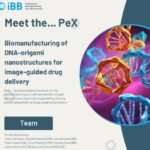 Exploratory Project (PeX): Biomanufacturing of DNA-origami nanostructures for image-guided drug delivery
