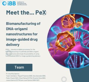 Exploratory Project (PeX): Biomanufacturing of DNA-origami nanostructures for image-guided drug delivery