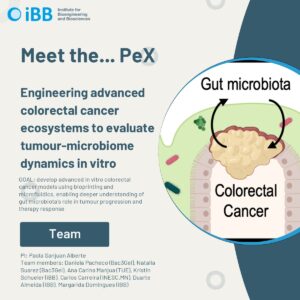 Exploratory Project (PeX): Engineering advanced colorectal cancer ecosystems to evaluate tumour-microbiome dynamics in vitro