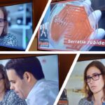 SIC Primetime News highlights Carla Carvalho’s Research on Microorganisms as Factories of the Future