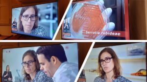 SIC Primetime News highlights Carla Carvalho’s Research on Microorganisms as Factories of the Future