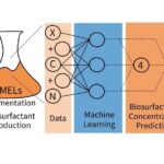 Machine learning models to predict biosurfactant production in fermentation processes