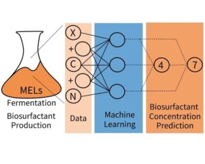 Machine learning models to predict biosurfactant production in fermentation processes