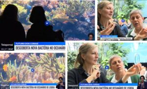 Discovery of Endozoicomonas Lisbonensis in Corals Featured on RTP1 Prime Journal