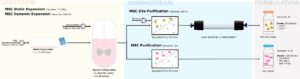 Operational and economic evaluation of future mesenchymal stromal cells-derived extracellular vesicles (MSC-EVs) therapies