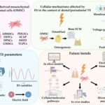 iBB researchers made a strong mark at the TERMIS-EU 2025 Conference in Freiburg, Germany