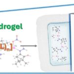 Stimuli-Responsive Gyroid Scaffolds: Hierarchical Architecture and Electric Stimulation Promote Bone Regeneration