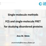 AI Bootcamp for Researchers and Research Managers