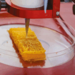 A Rapid In-Lab Toolbox for the Discrimination of Vibrio natriegens and Escherichia coli Cultures