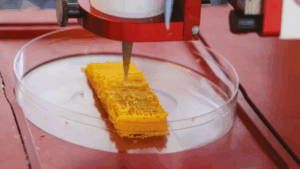 DECO PROTESTE features research on 3D-printed fish fillets