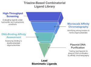 Screening of a Combinatorial Library of Triazine-Scaffolded Dipeptide-Mimic Affinity Ligands to Bind Plasmid DNA