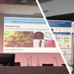 IBB Researchers Highlight Advances in Marine Host-Microbe Symbioses at Padua Symposium