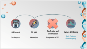 3D-printed matrices for the purification of plasmid DNA via steric exclusion chromatography