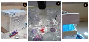 Promoting biofilm formation in artificially aged microplastics