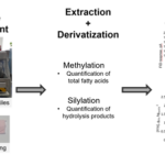 From lab to fabric: improving how lipase performance is evaluated for textile applications