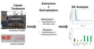 From lab to fabric: improving how lipase performance is evaluated for textile applications