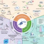 Ana M. Melo co-authors Nature Methods study advancing the understanding of disordered proteins