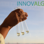 iBB Participates in the new INNOVALG Project on Sustainable Microalgae Production