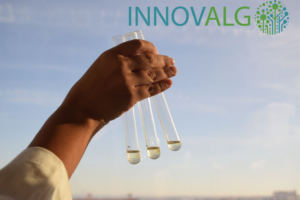 iBB Participates in the new INNOVALG Project on Sustainable Microalgae Production