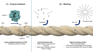 Lipase-assisted removal of spin finishes:  What if you could strip the lubricants off synthetic textiles without solvents, and get the same result?